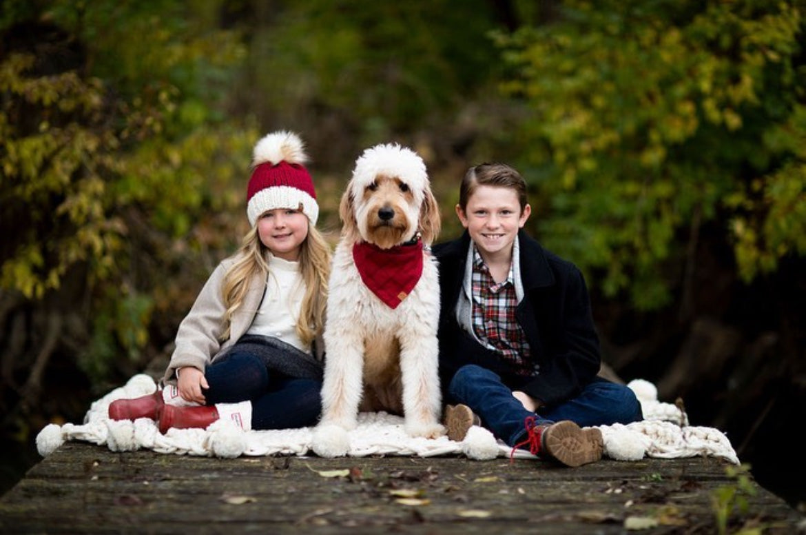 Santa Hat